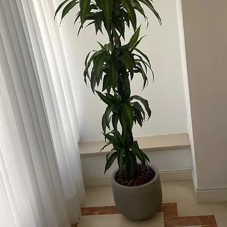 Spacious And Comfortable 2bed 2 Bath Near Airport And Citycenter Lissabon